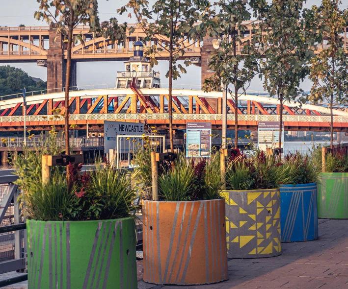 A row of coloured plant pots with plants and trees potted